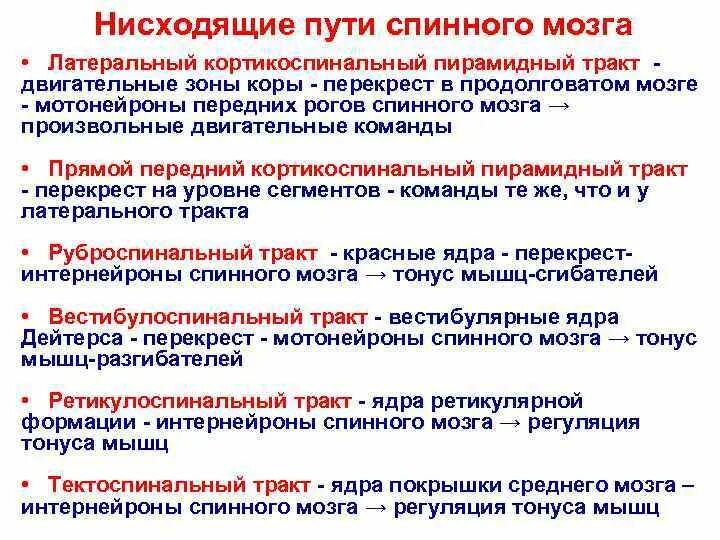 Нисходящий нервный путь. Восходящие пути спинного мозга таблица. Восходящие и нисходящие пути спинного мозга. Нисходящий контроль деятельности спинного мозга. Пути спинного мозга.