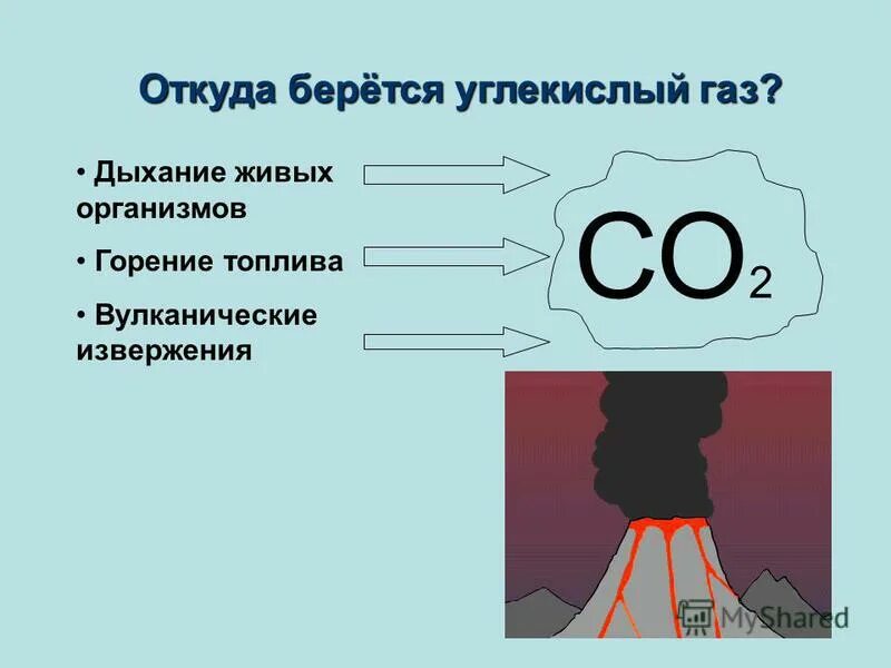 Появление углекислого газа. Откуда берется углекислый ГАЗ. Презентация на тему углекислый ГАЗ. Где образуется углекислый ГАЗ. Воздействие углекислого газа на организм человека.