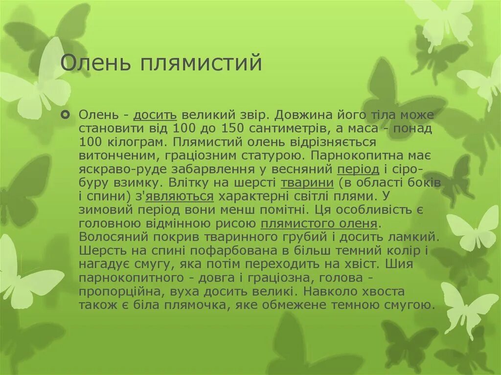 Проект есть презентация