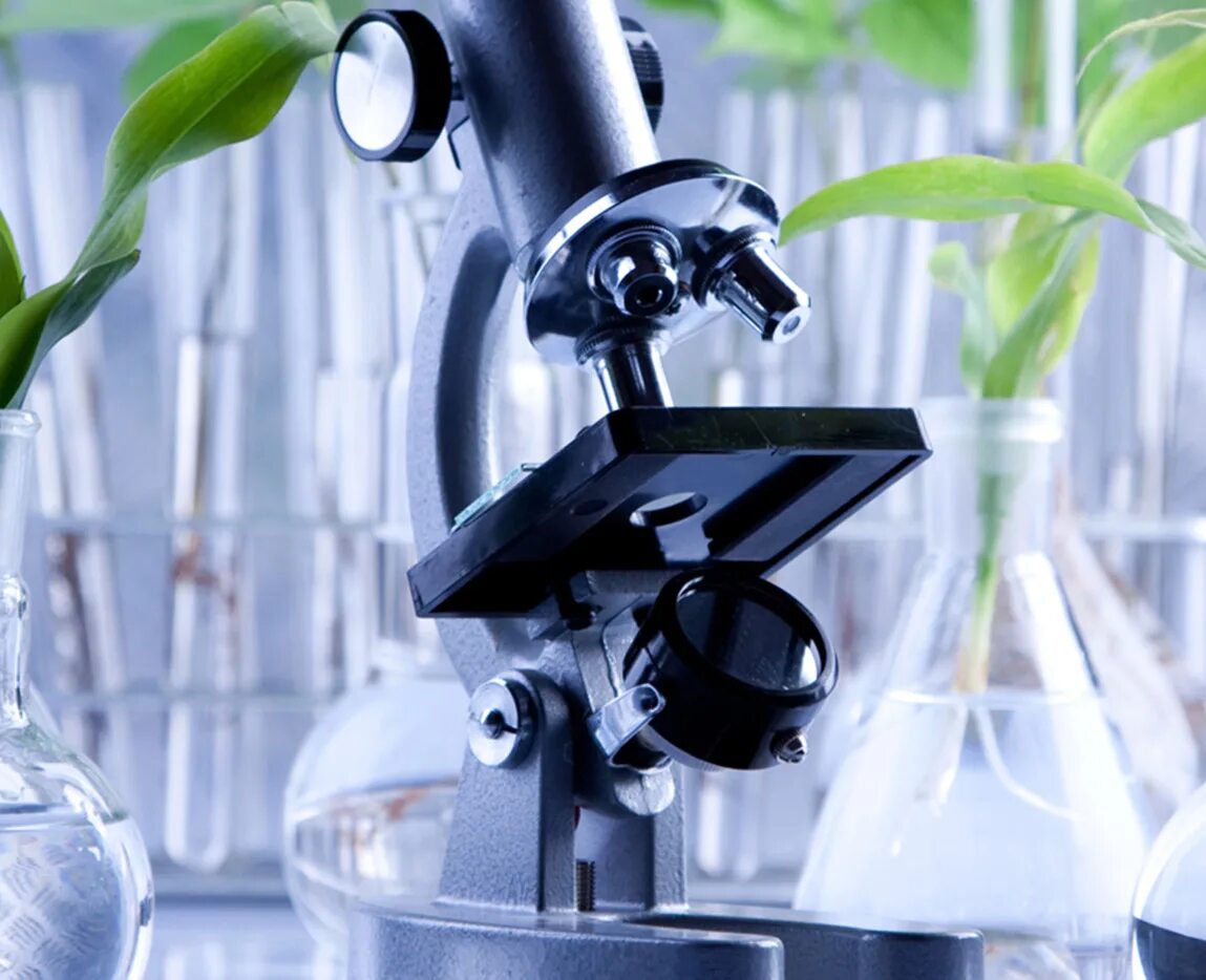 Химия биотехнологий. Биотехнология и природа. Лаборатория растений. Биотехнология растений. Экологическая лаборатория.