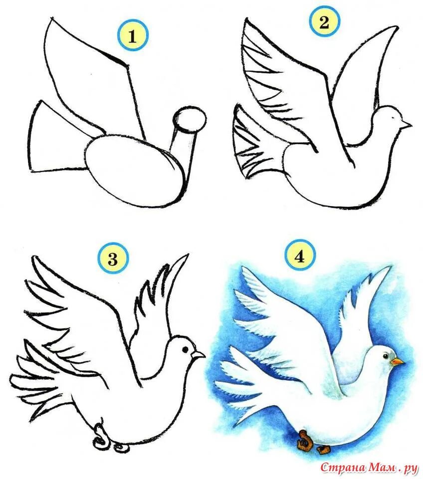 Как нарисовать голубей для детей