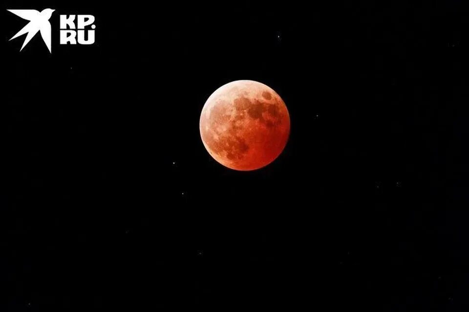 Кровавая Луна 8 ноября 2022. Кровавое полнолуние 2022. Лунное затмение 2022. Лунное затмение 8. Затмение 8 апреля 2024 года астрология