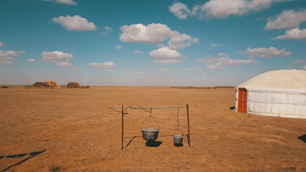 Степняк 1. Шулма ведьма калмыцкая степная. калмыкия степь. жизнь в степи. степняк казахстан.