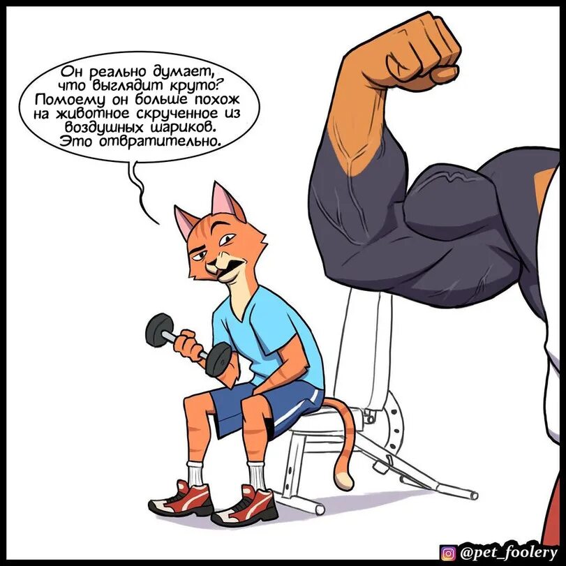 брэнч уоррен. накаченный спортсмен. накаченный человек. Bodybuilder бренч уоррен,. качка перевод.