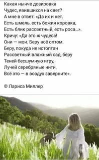 Какая нынче погода