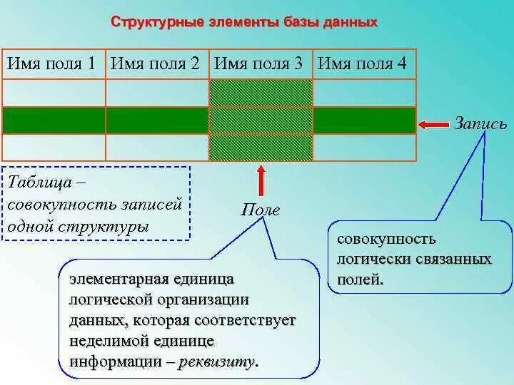 Элементы базы данных. Основные элементы базы данных. Структурные элементы баз данных. Основные элементы структуры базы данных.