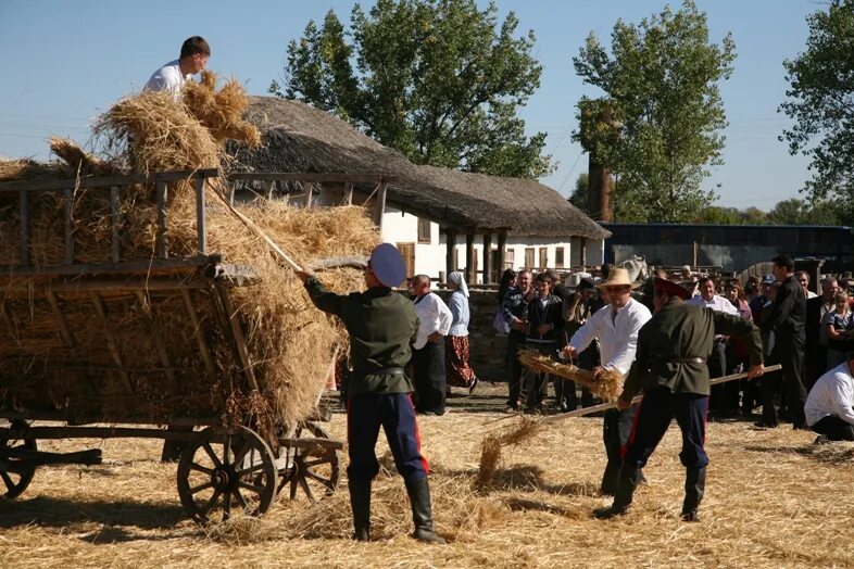 Хутор Кружилинский казачье подворье. Казачий курень станица Вешенская. Кружилинский Хутор музей. Хутор Кружилинский дом Шолохова. Хутор казачий краснодарский