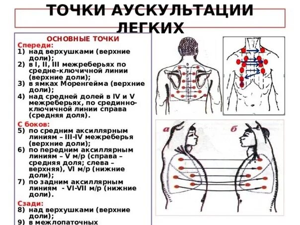 Точка спереди. Перкуссия легких спереди сравнительная спереди.