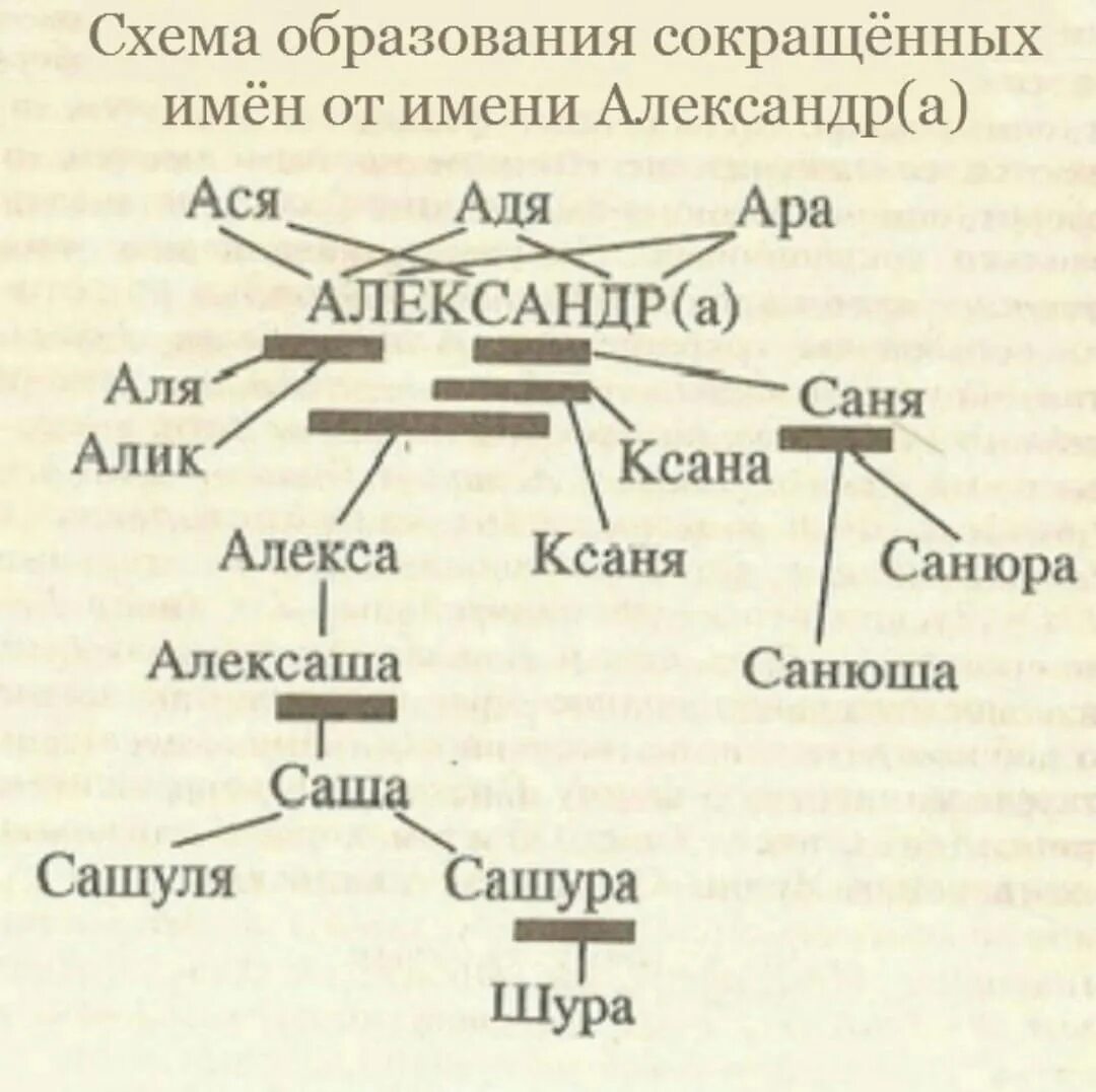 Алексан сокращение имени. Почему назвали саша