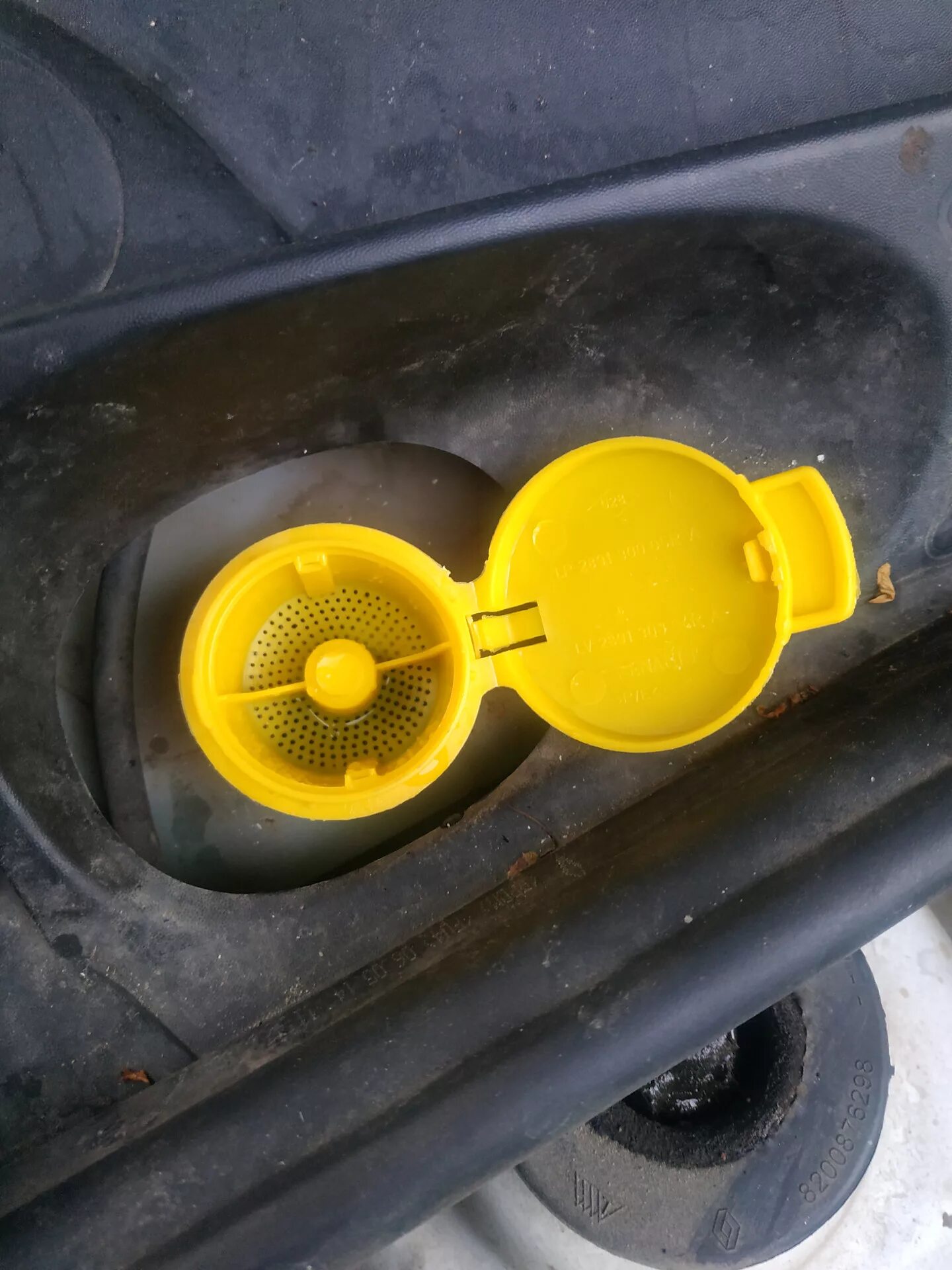 Крышка бачка омывателя рено 3д модель. Крышка бочка омывателя рено. Крышка бачка омывателя с сеткой renault. Крышка бачка омывателя рено. Крышка бачка омывателя daf 105.