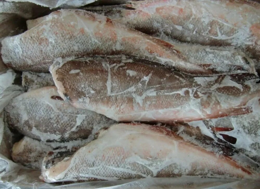 Сельдь икряная. Крупная сельдь. Горбуша пбг. Рыба опт со склада. Корюшка 23+ свежемороженая.