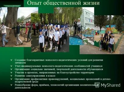 Что значит общественная жизнь