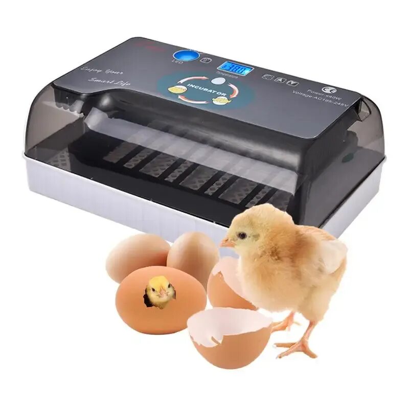 Мини инкубатор купить. Инкубатор 12 Egg incubator. Инкубатор Egg incubator 6. Mini Intelligent 9 Egg incubator. Инкубатор Egg incubator 6 яиц.