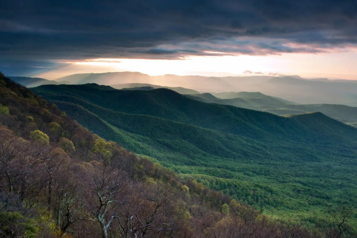Listen to music albums featuring 'Cross The Green Mountain by J Dulva online for