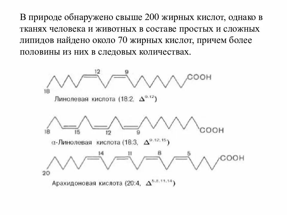 Арахидоновая кислота линоленовая кислота линоленовая. Арахидоновая кислота формула. Арахидоновая структурная формула. Формула арахидоновой кислоты