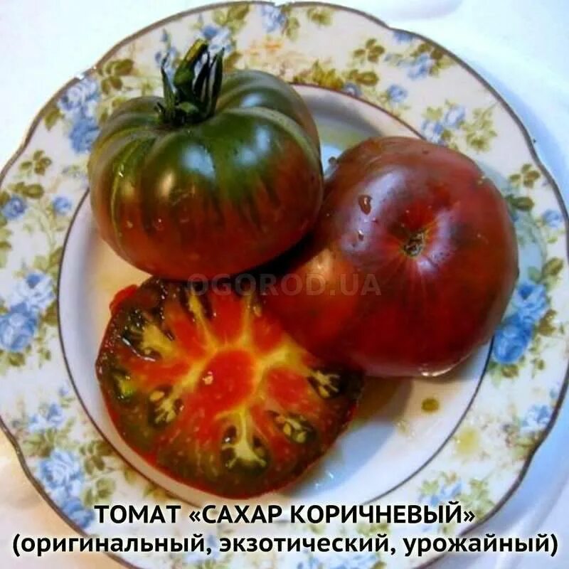 Томат черный сахар отзывы