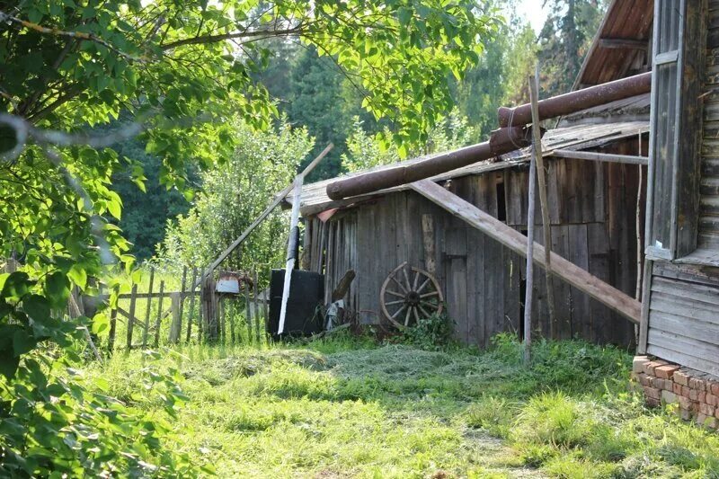 Из города в деревню милюковы