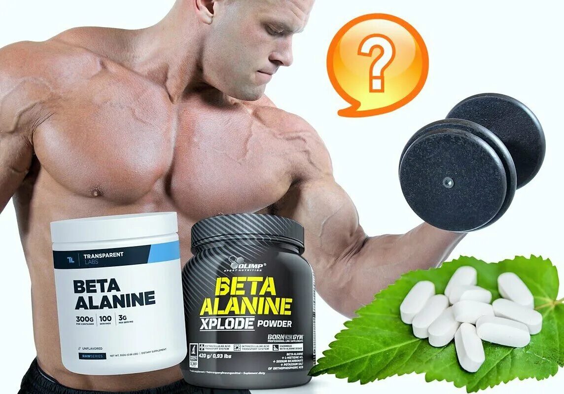 Бета аланин аминокислота. Бета аланин спортивное питание. Be first beta alanine powder отзывы. Бета аланин xplode. Бета аланин спортивное питание.