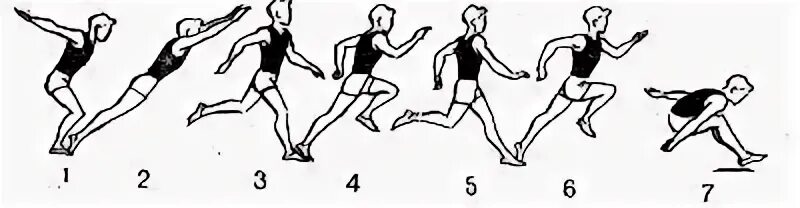 Тройной прыжок состоит из. Фазы тройного прыжка в легкой атлетике. Тройной прыжок с разбега в легкой атлетике. Техника выполнения тройного прыжка в длину с места. Техника тройного прыжка.