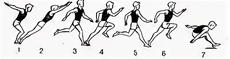 Лёгкая атлетика тройной прыжок схема. Тройной прыжок с разбега в легкой атлетике. Тройной прыжок в легкой атлетике техника. Техника выполнения тройного прыжка в длину с места. Тройной прыжок с места