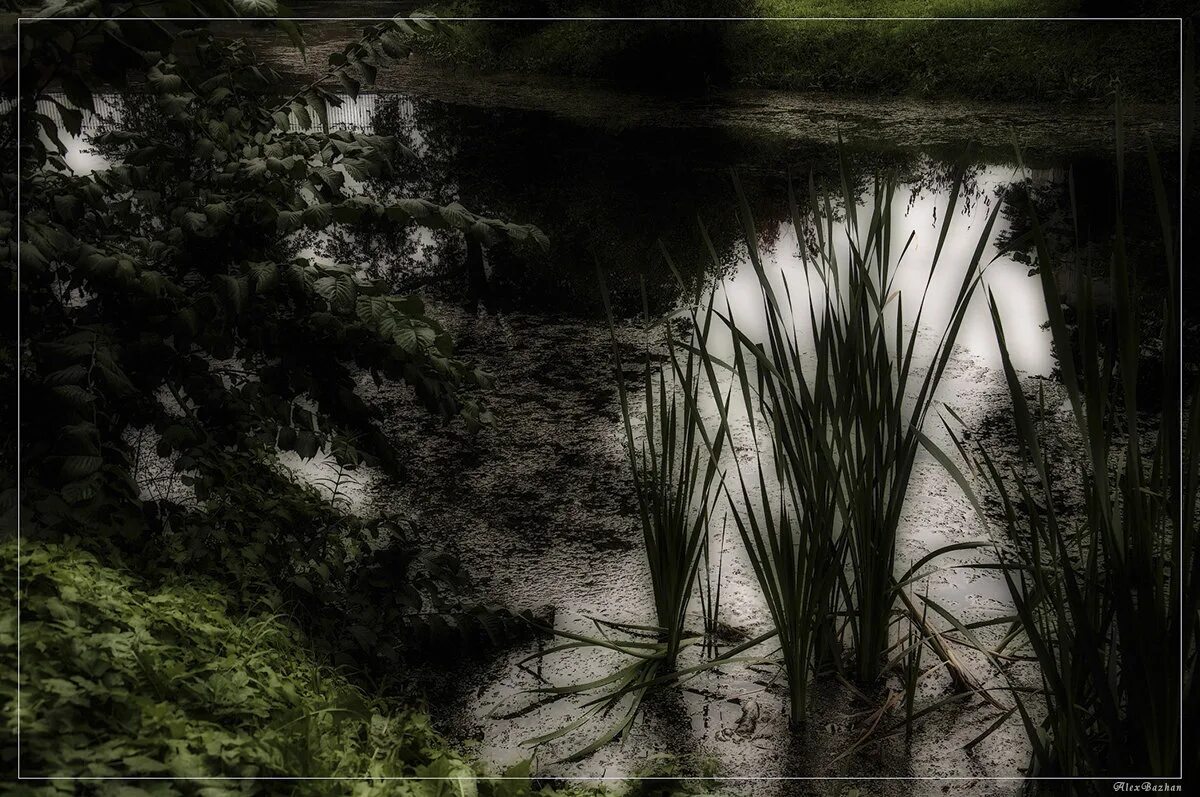 девушки на озере. однажды на пруду. однажды на пруду. однажды на пруду. патриаршие пруды описание.