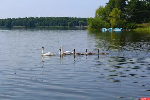 Оз гать