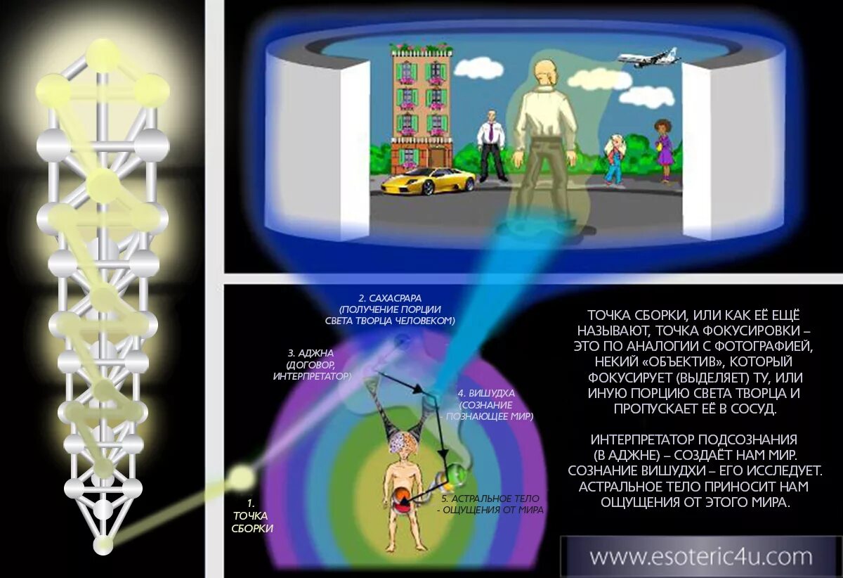 Энергетический кокон точка сборки. Точка сборки человека. Точка сборки сознания. Положение точки сборки. Мизерная порция света