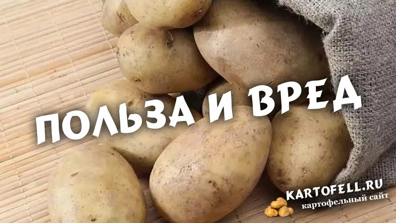 Чем полезна картошка. Антинутриенты в картофеле. Честное картошка. Картошка полезная Алиса