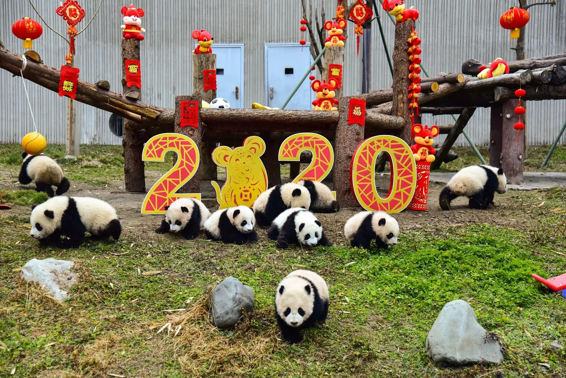 Year pandas