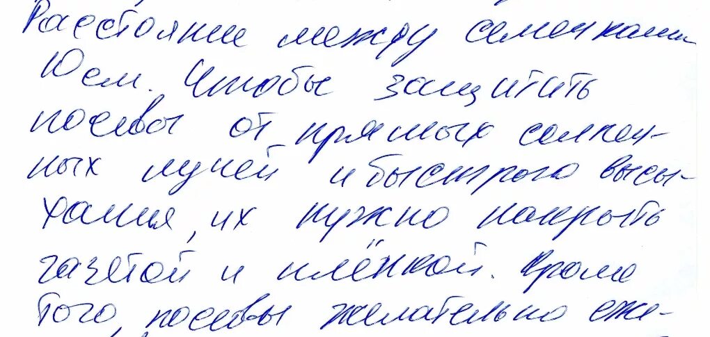 Крупный почерк. Образцы почерка. Разные почерки. Круглый почерк. Нажим почерка