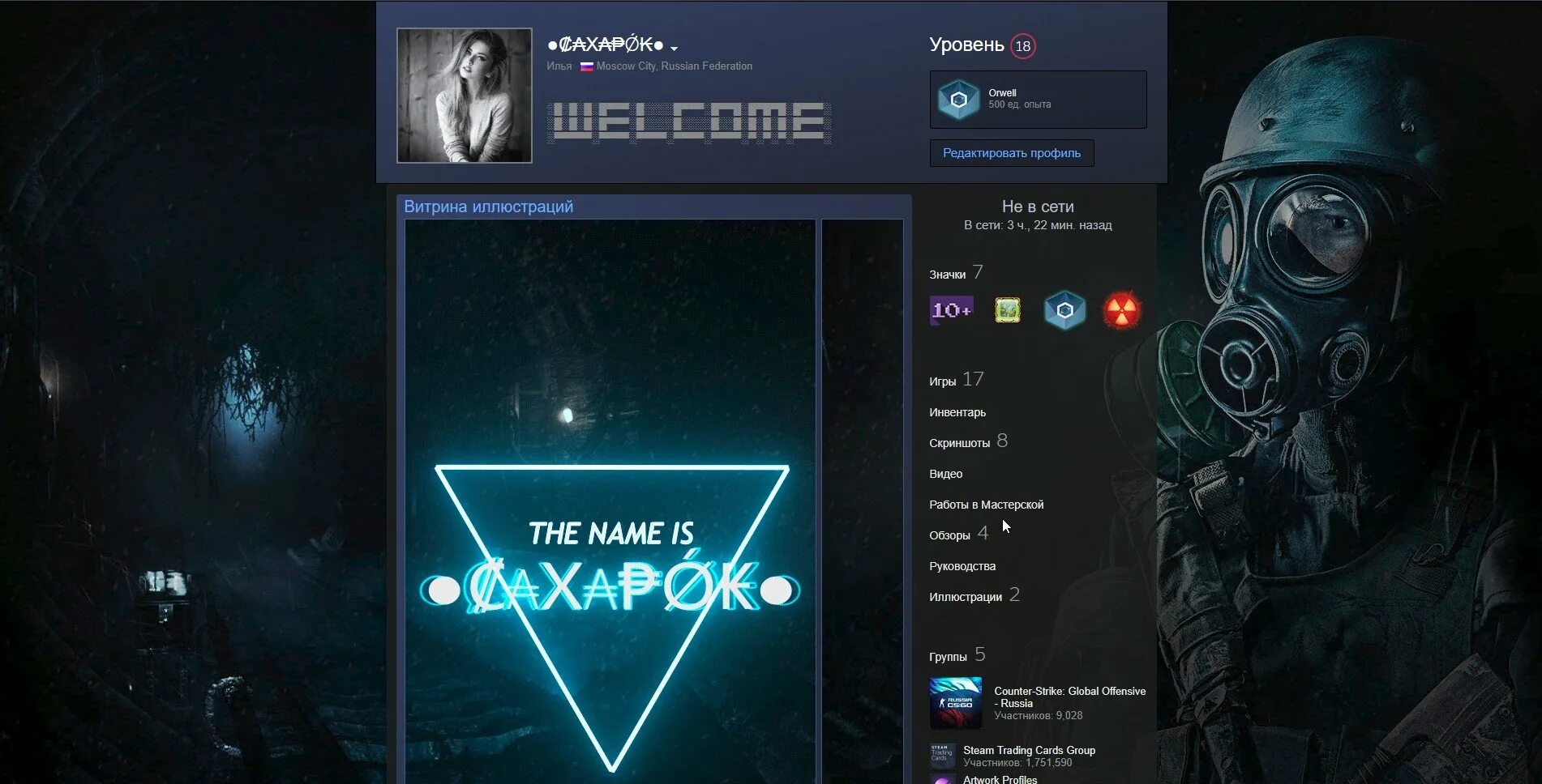 Steam profile