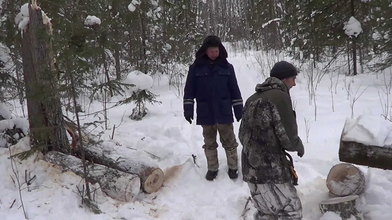 Охота в Сибири в тайге на соболя. Промысел в тайге охота на соболя. Промыслов в тайге охота