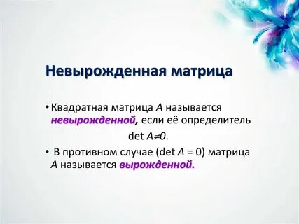 Невырожденный определитель матрицы