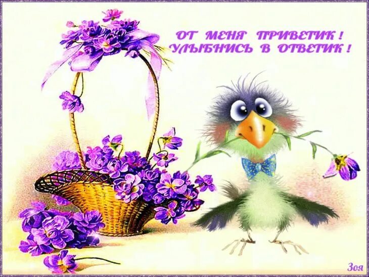 Открытки с добрым днём. Открытки с добрым днём. Что ответить на добрый день. Смешные комментарии из социальных сетей. Хорошего дня и отличного настроения.