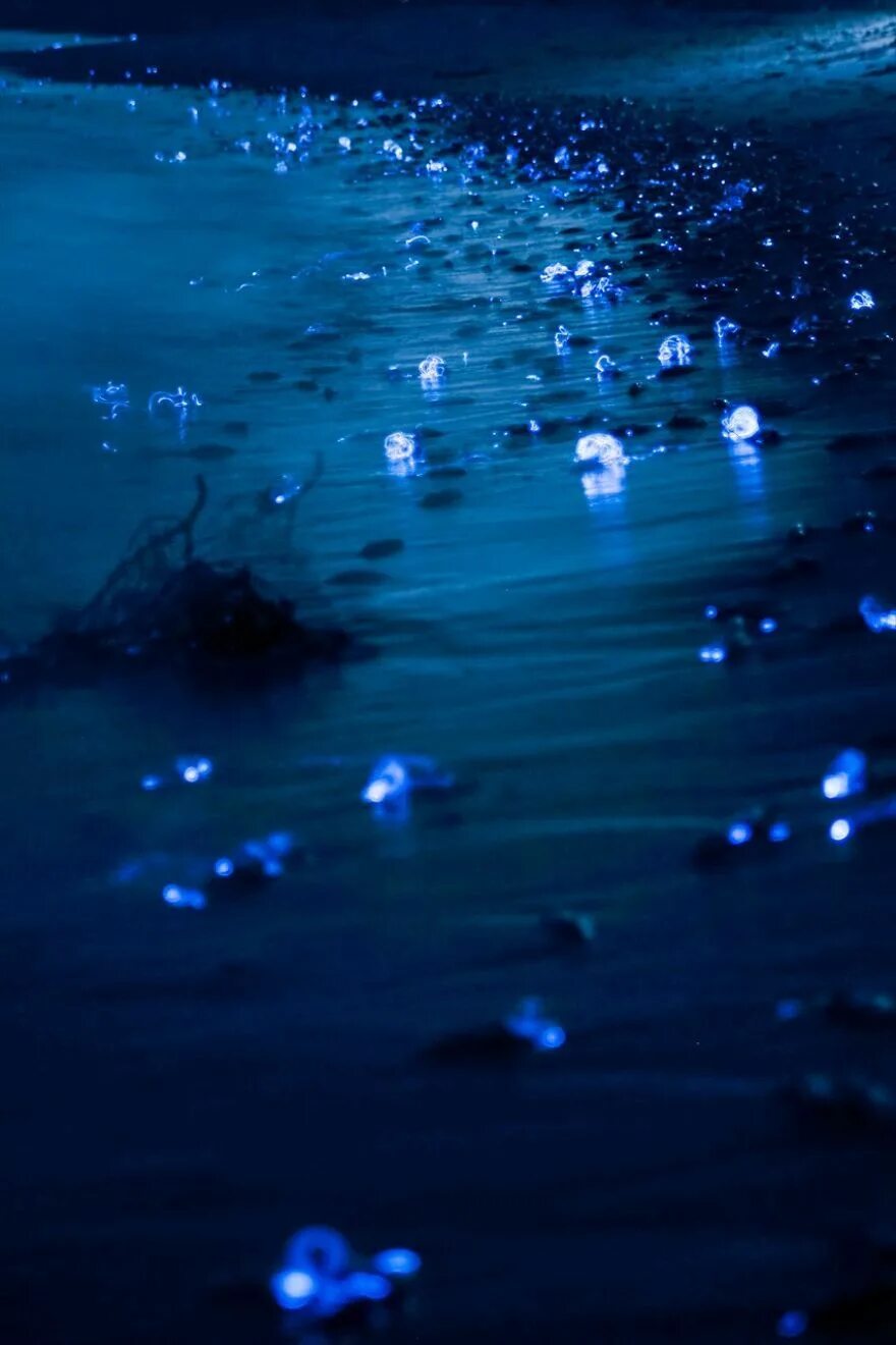 Ночь вода синий