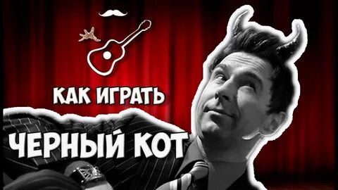 Браво черный кот