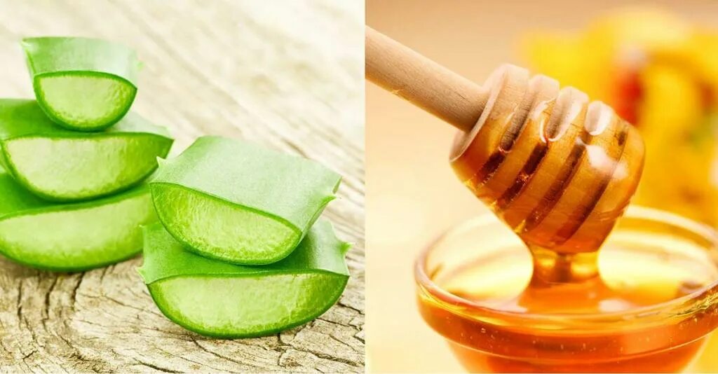 Настой алоэ с медом. Алоэ вера мед лимон. Мед с алоем. Алоэ с медом от кашля детям. Алоэ с медом от кашля.