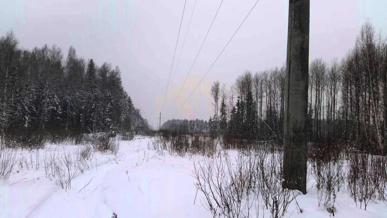 Лыжня кольчугино. Лыжи кольчугино. дороги кольчугино.