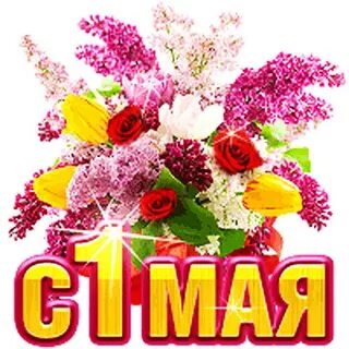 1 майская 5 6
