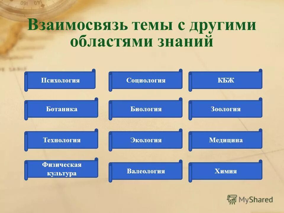 Как называется область знаний. Как называется область знаний. Уникальная область знаний. Какие есть области знаний. Классификация знаний в информатике.