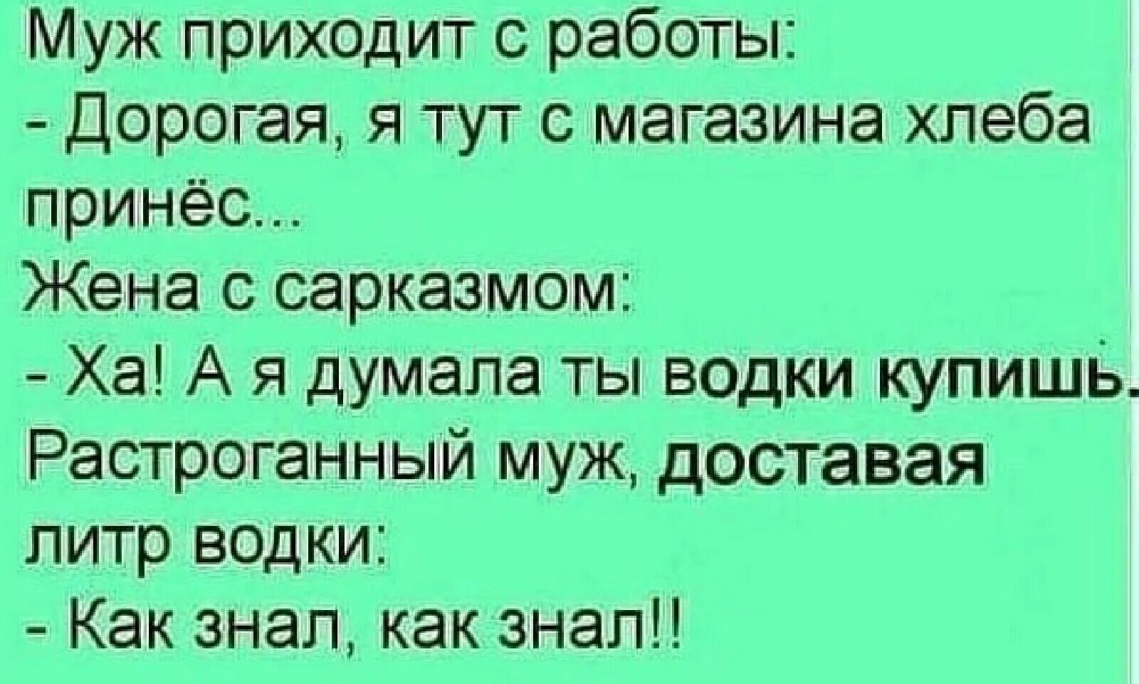 Муж придя с работы. Муж пришел с работы. Муж достал. Муж задолбал. Сарказм про жену.