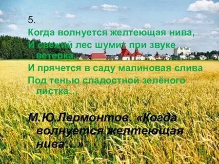 Когда цветет желтеющая нива