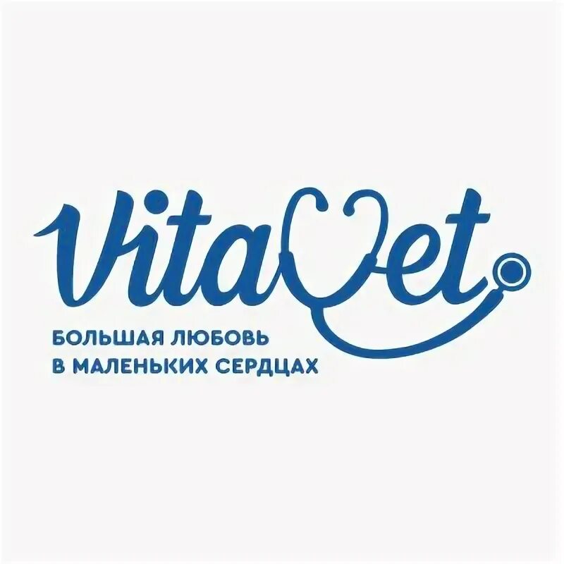 Vita vet. Vitavet логотип. Vita vet. Витамины junior. Vita vet.