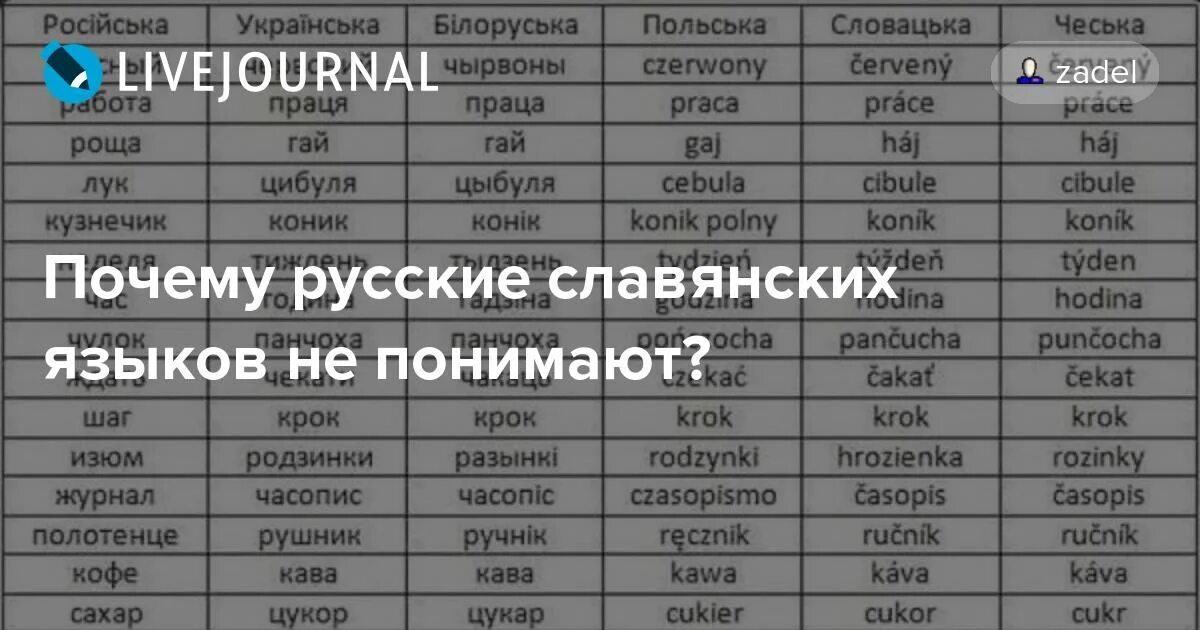 Нерусский или не русский как правильно. Нерусский или не русский как правильно. Словарь даля. Нерусский или не русский как правильно. Чеченские цитаты.