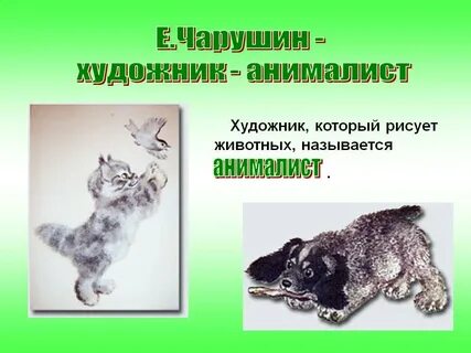 Чарушин тесты