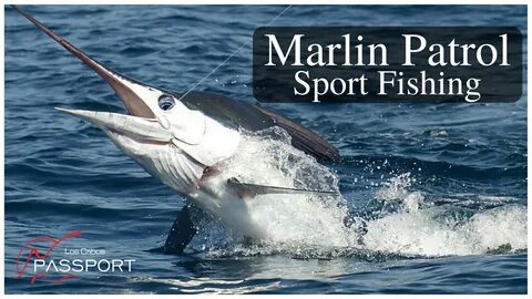 White marlin