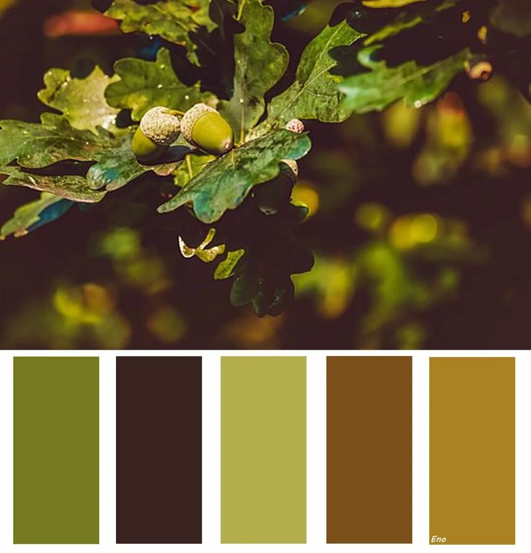 Палитра цветов оливкового цвета. Seeds Color Palette изумрудный. Оттенки зеленого Dulux палитра 30gy 72/196. Палитра зеленый коричневый. Цветовая палитра зеленый коричневый.