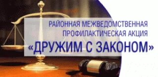 Акция дружим с законом. Акция единый день профилактики. Дружим с законом. Профилактическая акция дружим с законом. Профилактика правонарушений фон.