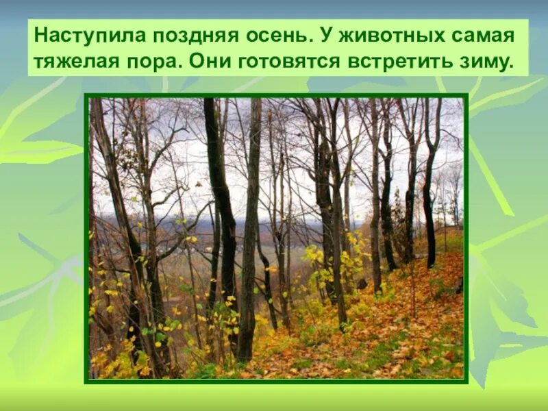 Год в лесу книга соколов микитов. Рассказ вечер. В лесу наступила ночь по деревьям. Стихотворение про лес. Дополните предложение.