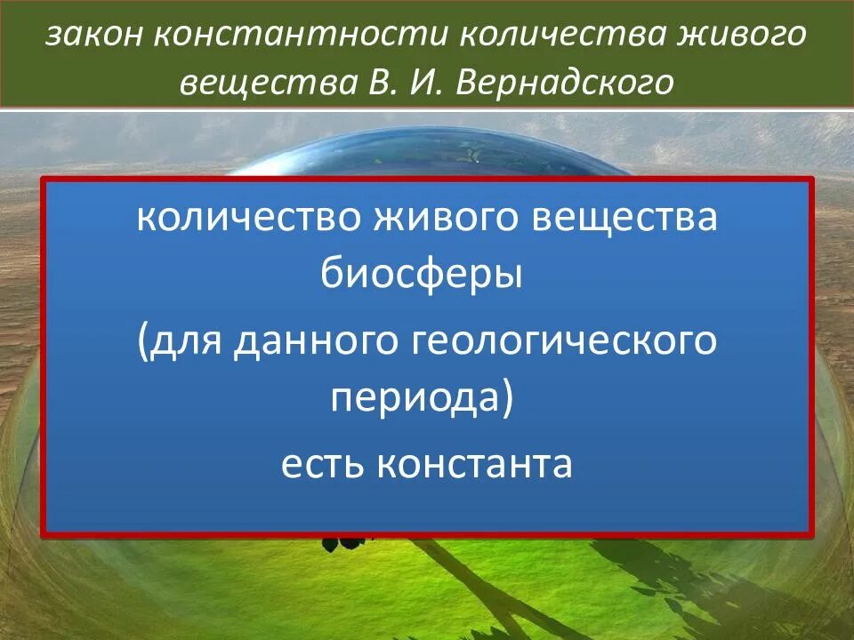 Законы живого вещества. Закон константности живого вещества. Закон константности Вернадского. Закон константности живого вещества биосферы. Закон Вернадского о биосфере.